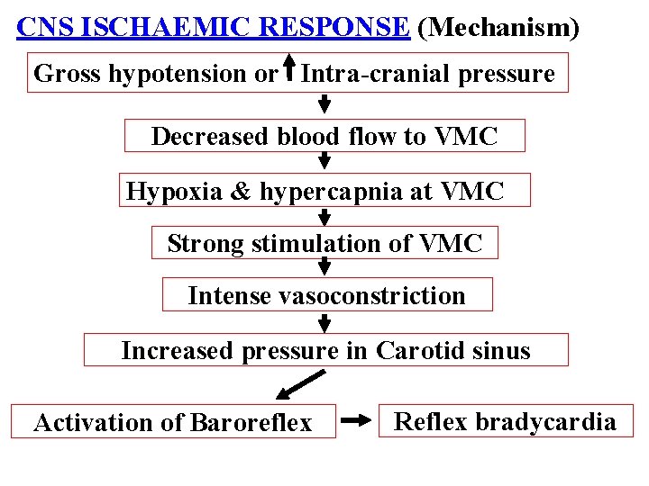 CNS ISCHAEMIC RESPONSE (Mechanism) Gross hypotension or Intra-cranial pressure Decreased blood flow to VMC