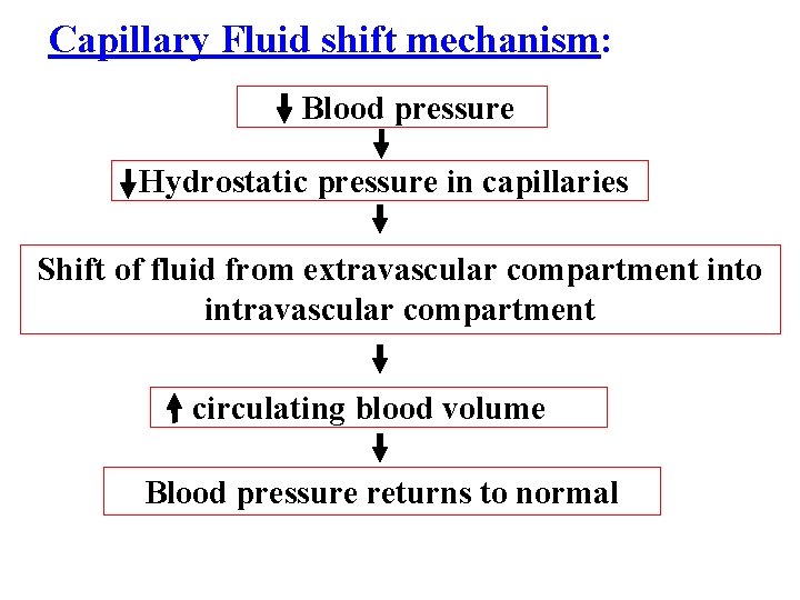 Capillary Fluid shift mechanism: Blood pressure Hydrostatic pressure in capillaries Shift of fluid from