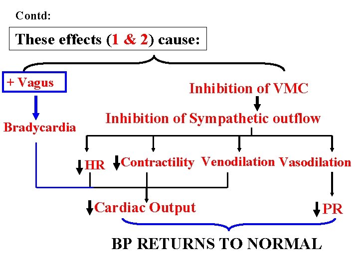 Contd: These effects (1 & 2) cause: + Vagus Inhibition of VMC Inhibition of