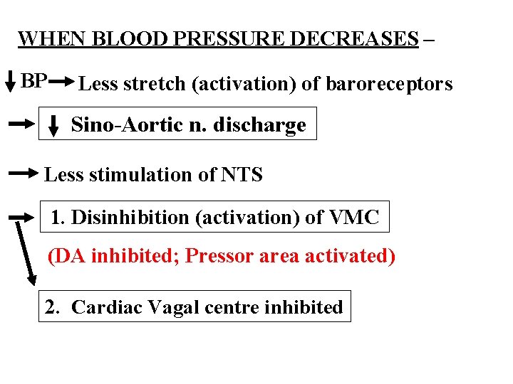 WHEN BLOOD PRESSURE DECREASES – BP Less stretch (activation) of baroreceptors Sino-Aortic n. discharge