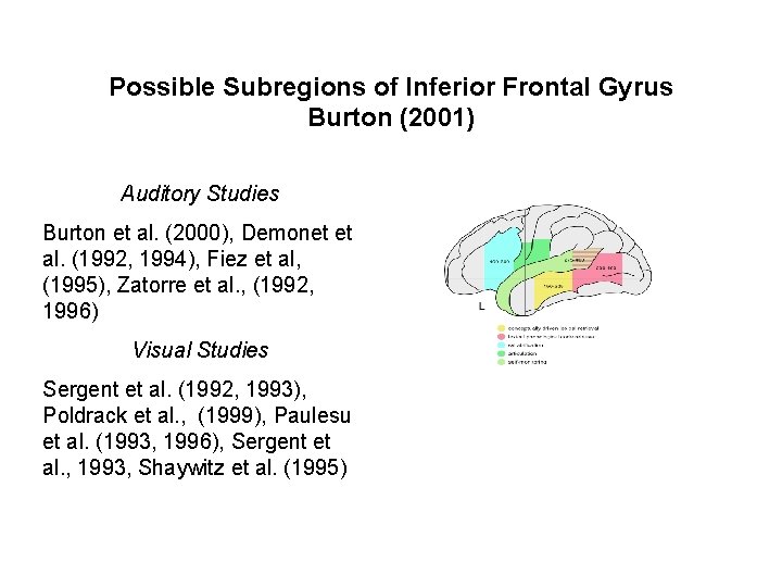 Possible Subregions of Inferior Frontal Gyrus Burton (2001) Auditory Studies Burton et al. (2000),