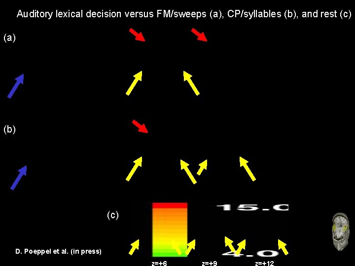 Auditory lexical decision versus FM/sweeps (a), CP/syllables (b), and rest (c) (a) (b) (c)