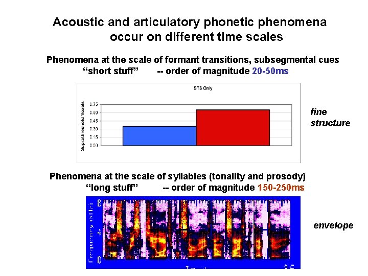 Acoustic and articulatory phonetic phenomena occur on different time scales Phenomena at the scale