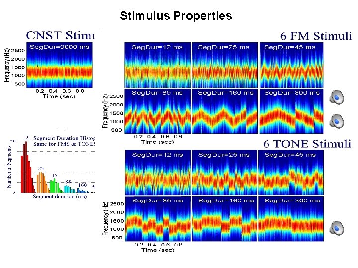 Stimulus Properties 