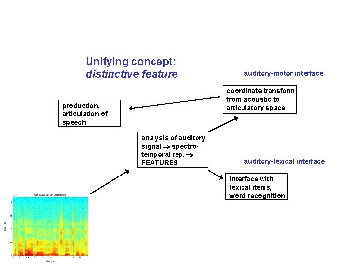 Unifying concept: distinctive feature auditory-motor interface coordinate transform from acoustic to articulatory space production,