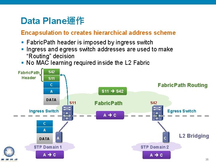 Data Plane運作 Encapsulation to creates hierarchical address scheme § Fabric. Path header is imposed