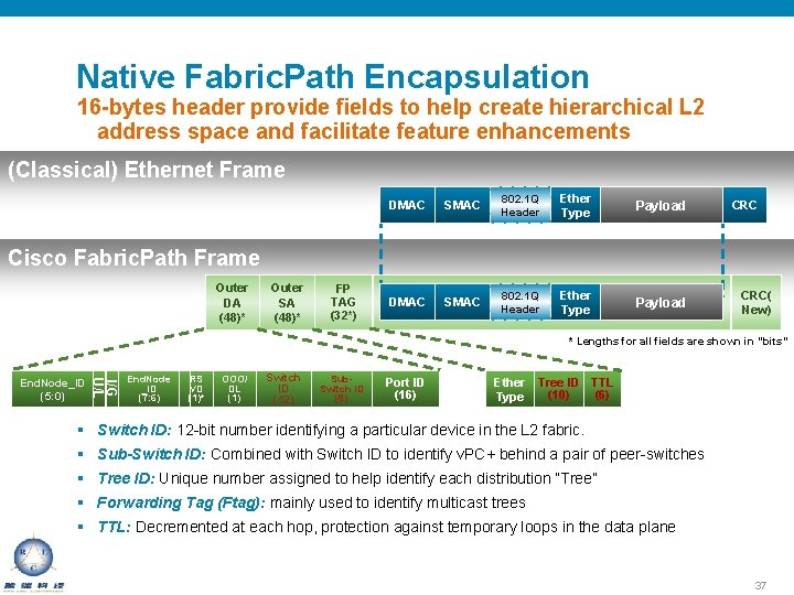 Native Fabric. Path Encapsulation 16 -bytes header provide fields to help create hierarchical L