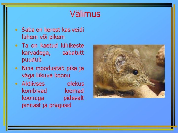 Välimus • Saba on kerest kas veidi lühem või pikem • Ta on kaetud