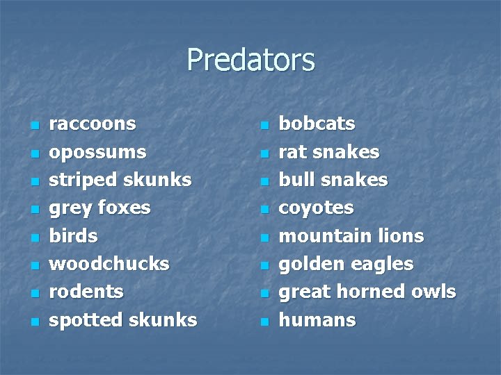 Predators n n n n raccoons opossums striped skunks grey foxes birds woodchucks rodents