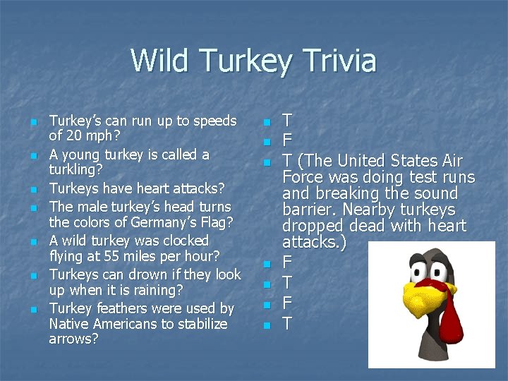 Wild Turkey Trivia n n n n Turkey’s can run up to speeds of
