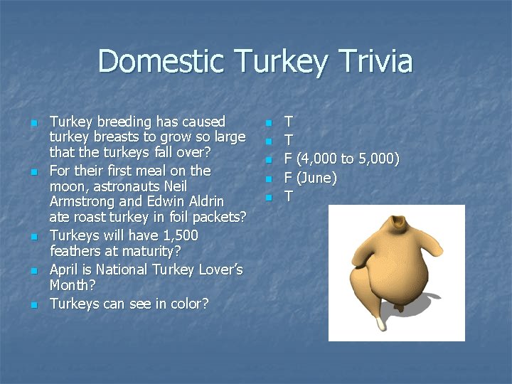 Domestic Turkey Trivia n n n Turkey breeding has caused turkey breasts to grow