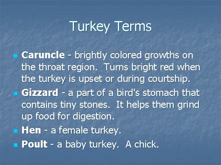 Turkey Terms n n Caruncle - brightly colored growths on the throat region. Turns
