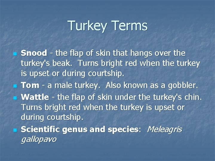 Turkey Terms n n Snood - the flap of skin that hangs over the