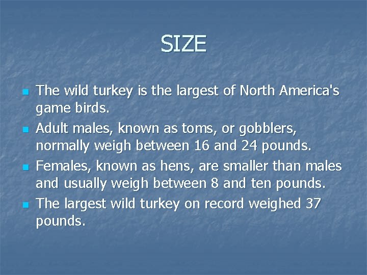 SIZE n n The wild turkey is the largest of North America's game birds.