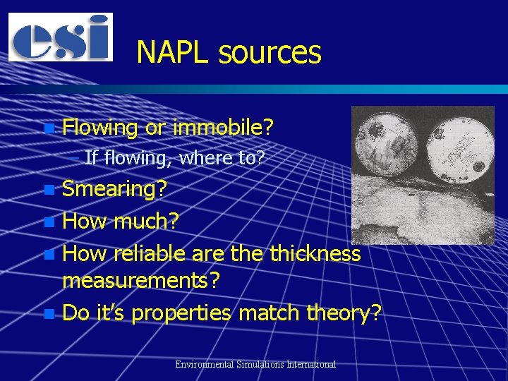 NAPL sources n Flowing or immobile? – If flowing, where to? Smearing? n How