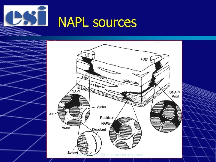 NAPL sources Environmental Simulations International 