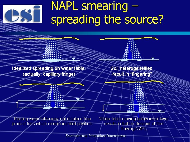 NAPL smearing – spreading the source? Idealized spreading on water table. (actually, capillary fringe)