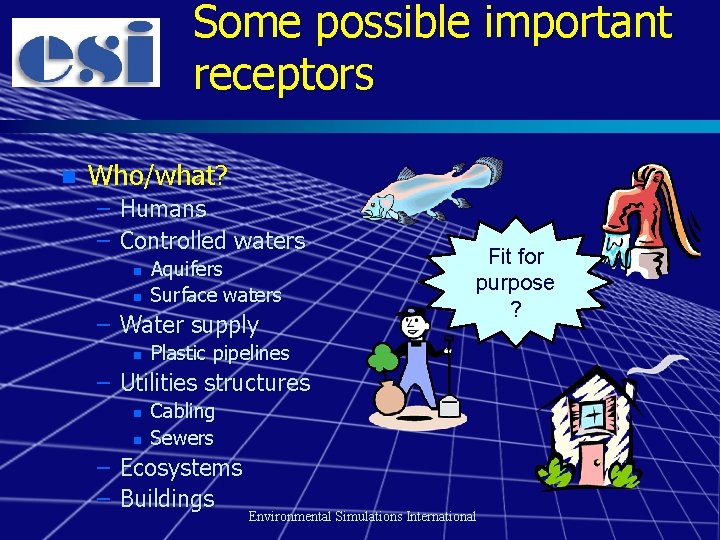 Some possible important receptors n Who/what? – Humans – Controlled waters n n Aquifers