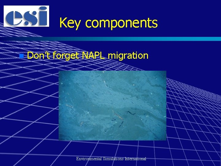 Key components n Don’t forget NAPL migration Environmental Simulations International 