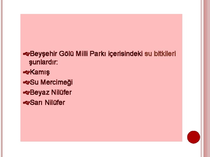  Beyşehir Gölü Milli Parkı içerisindeki su bitkileri şunlardır: Kamış Su Mercimeği Beyaz Nilüfer