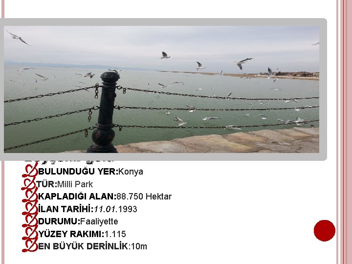 Beyşehir gölü BULUNDUĞU YER: Konya TÜR: Milli Park KAPLADIĞI ALAN: 88. 750 Hektar İLAN