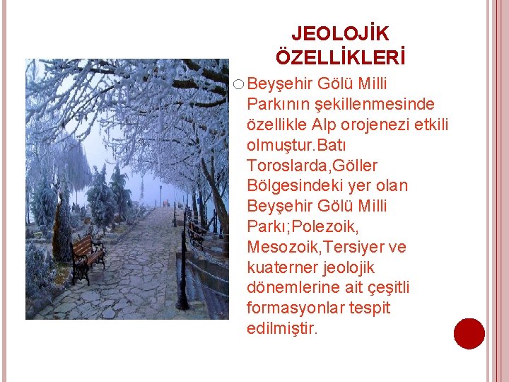 JEOLOJİK ÖZELLİKLERİ o Beyşehir Gölü Milli Parkının şekillenmesinde özellikle Alp orojenezi etkili olmuştur. Batı