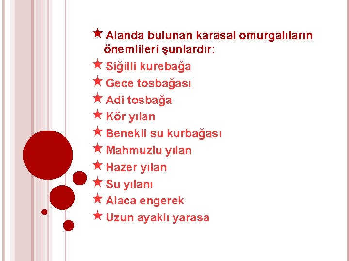  Alanda bulunan karasal omurgalıların önemlileri şunlardır: Siğilli kurebağa Gece tosbağası Adi tosbağa Kör