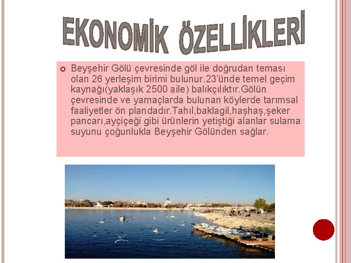  Beyşehir Gölü çevresinde göl ile doğrudan teması olan 26 yerleşim birimi bulunur. 23’ünde