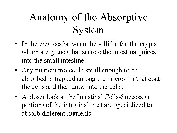 Anatomy of the Absorptive System • In the crevices between the villi lie the