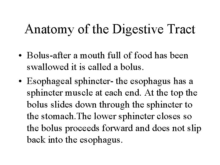 Anatomy of the Digestive Tract • Bolus-after a mouth full of food has been