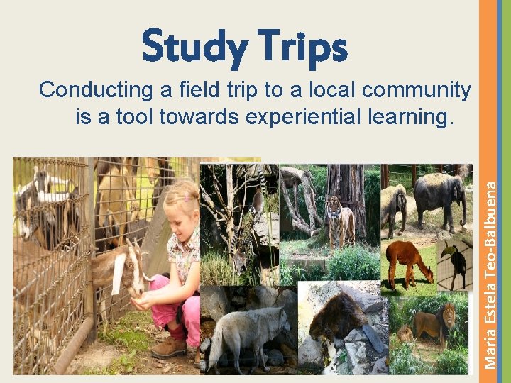 Study Trips Maria Estela Teo-Balbuena Conducting a field trip to a local community is