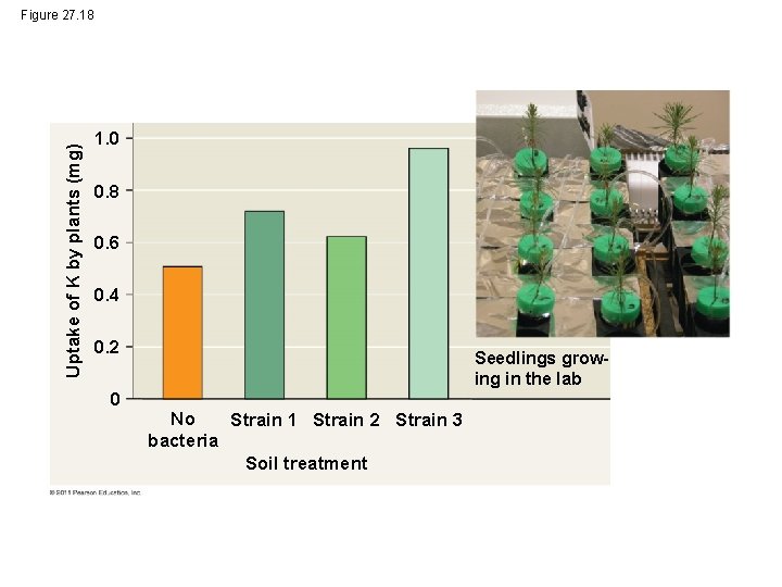 Uptake of K by plants (mg) Figure 27. 18 1. 0 0. 8 0.