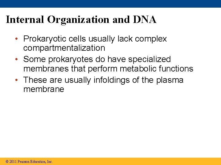 Internal Organization and DNA • Prokaryotic cells usually lack complex compartmentalization • Some prokaryotes