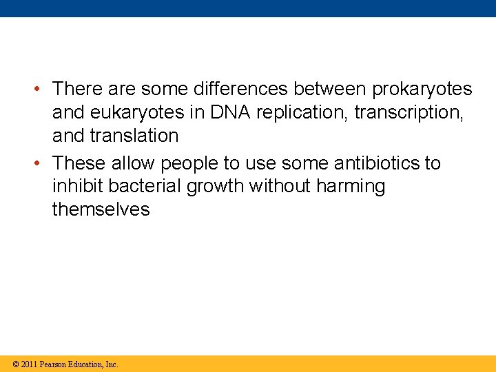  • There are some differences between prokaryotes and eukaryotes in DNA replication, transcription,