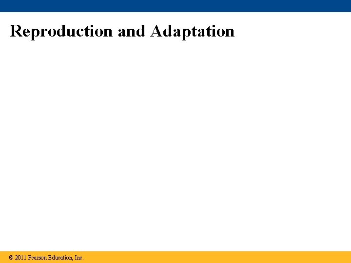 Reproduction and Adaptation © 2011 Pearson Education, Inc. 
