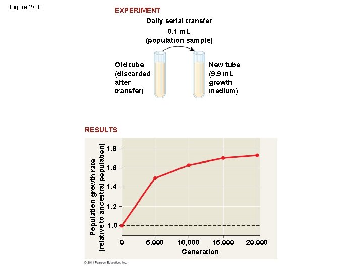 Figure 27. 10 EXPERIMENT Daily serial transfer 0. 1 m. L (population sample) Old