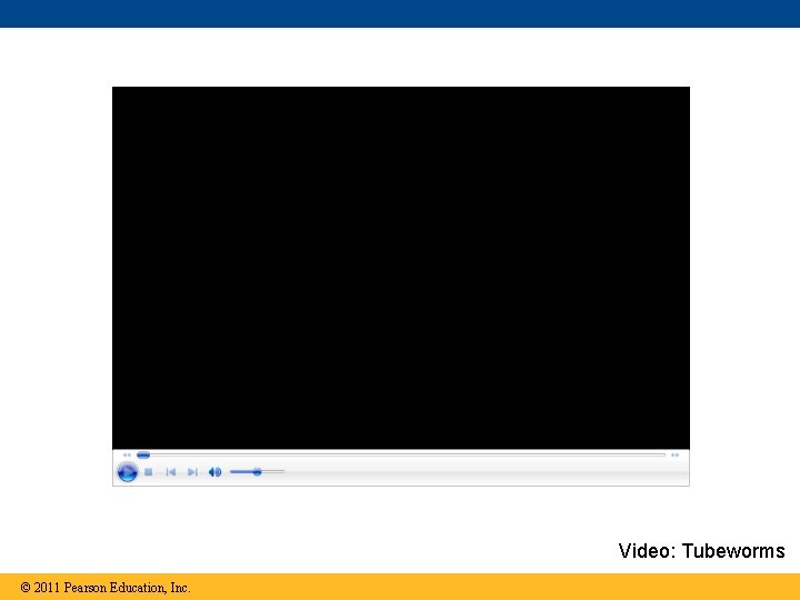 Video: Tubeworms © 2011 Pearson Education, Inc. 