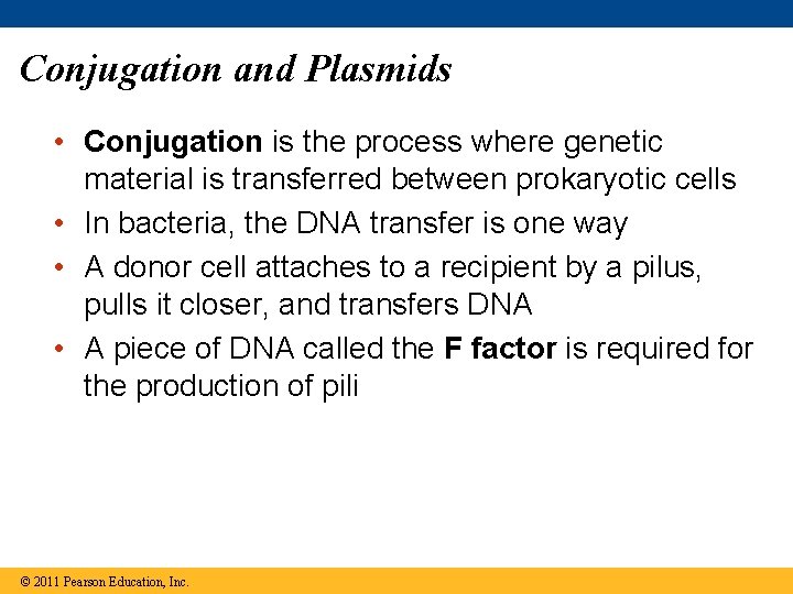 Conjugation and Plasmids • Conjugation is the process where genetic material is transferred between