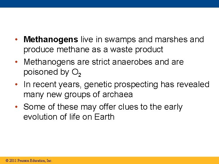  • Methanogens live in swamps and marshes and produce methane as a waste