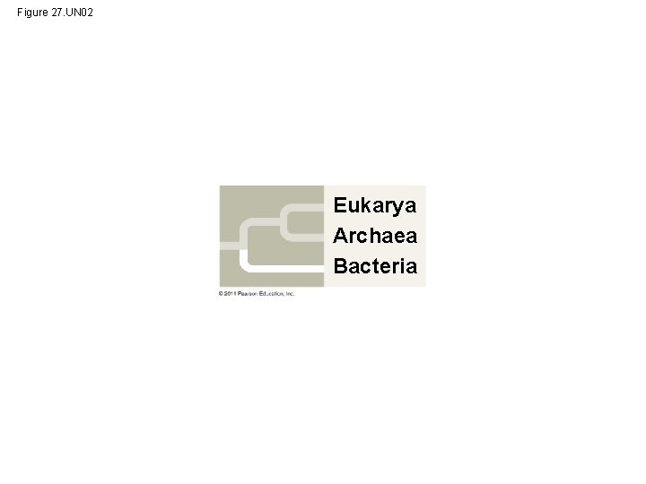 Figure 27. UN 02 Eukarya Archaea Bacteria 