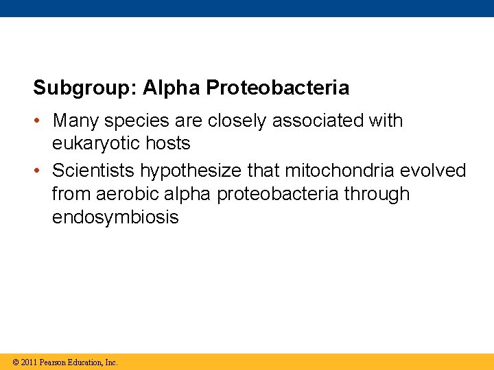 Subgroup: Alpha Proteobacteria • Many species are closely associated with eukaryotic hosts • Scientists