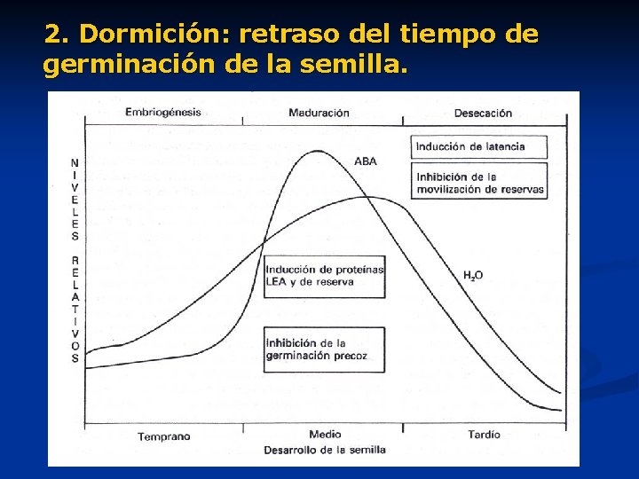 2. Dormición: retraso del tiempo de germinación de la semilla. 
