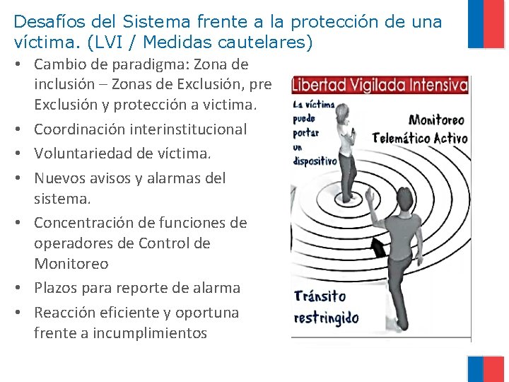 Desafíos del Sistema frente a la protección de una víctima. (LVI / Medidas cautelares)