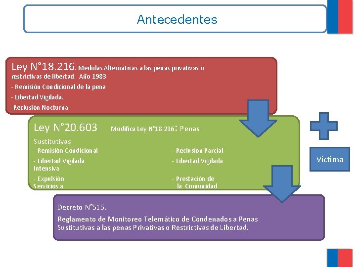 Antecedentes Ley N° 18. 216. Medidas Alternativas a las penas privativas o restrictivas de