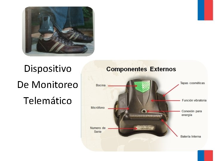 Dispositivo De Monitoreo Telemático 