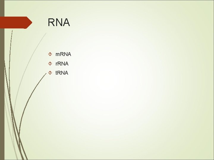 RNA m. RNA r. RNA t. RNA 