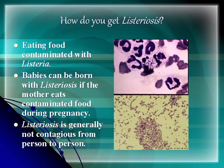 How do you get Listeriosis? l l l Eating food contaminated with Listeria. Babies