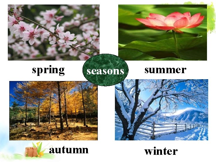 spring seasons autumn summer winter 