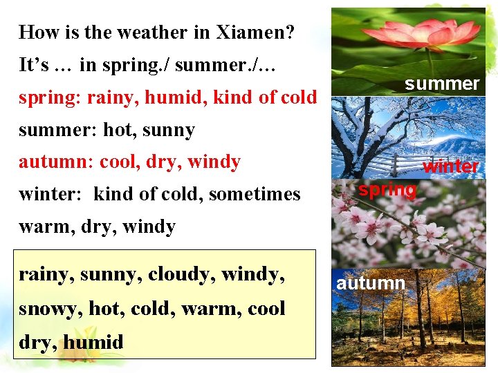 How is the weather in Xiamen? It’s … in spring. / summer. /… spring: