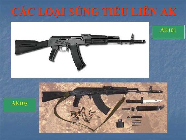 CÁC LOẠI SÚNG TIỂU LIÊN AK AK 101 AK 103 